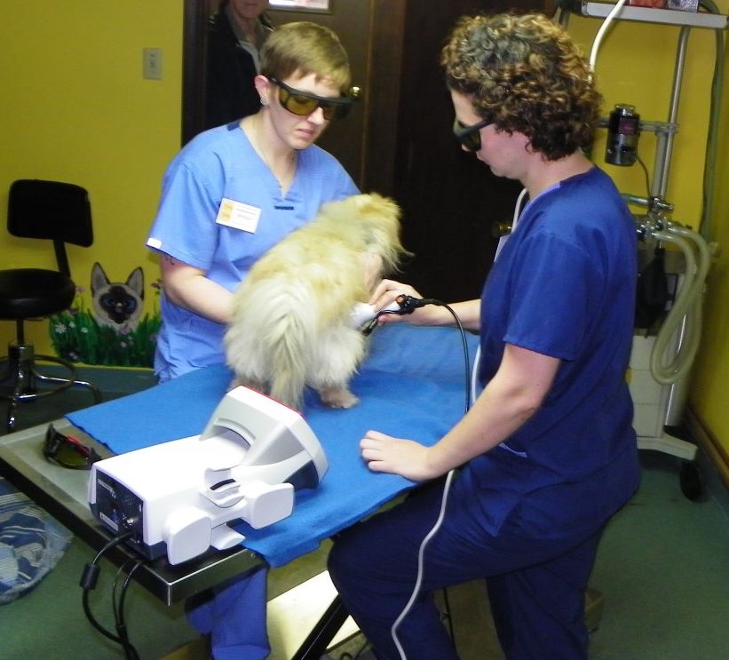 Laser Therapy demonstration at Open House
