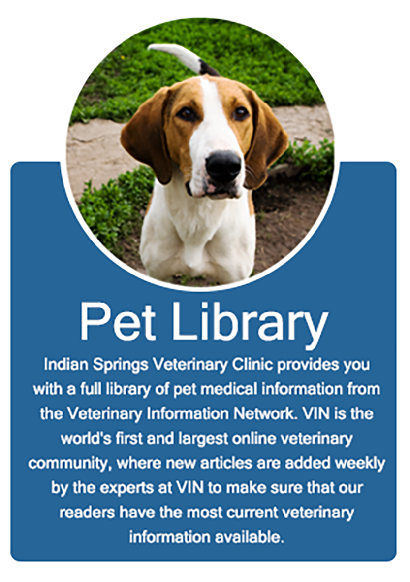 Indian Springs Veterinary Clinic - Indiana, PA - Services